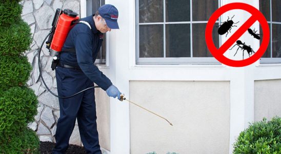 Akçakoca Kene İlaçlama böcek ilaçlama ve haşere kontrolü — ilaclama-tr.com